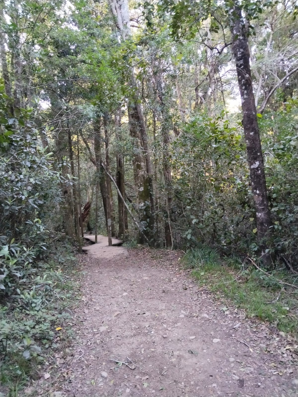 FOREST GARDEN ROUTE FOREST GARDEN ROUTE