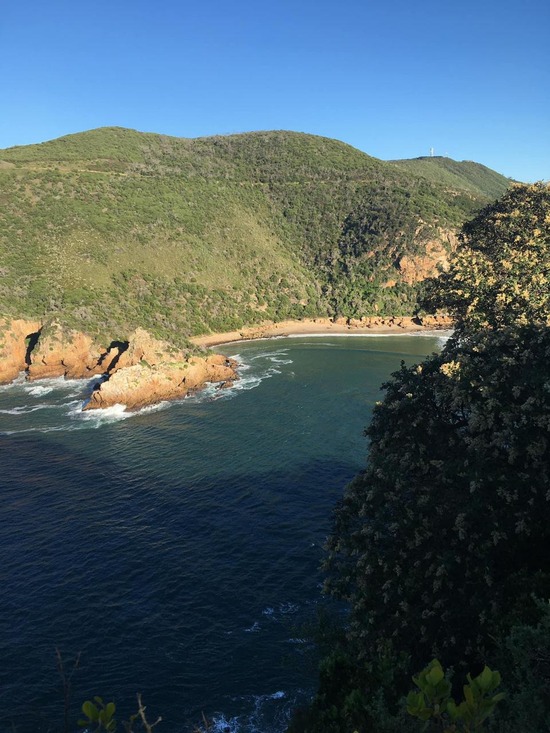 bloukrans river bridge